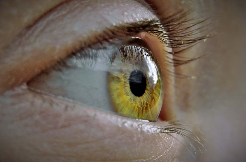За здрав мозък: Проверете очите си
