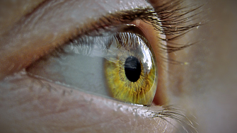 За здрав мозък: Проверете очите си