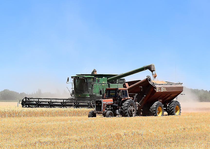 Колко струва на хазната забраната за внос на украинско зърно?