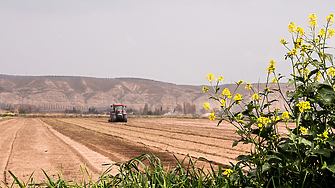Пазарът на земеделска земя в България се движи основно от арендаторите. 