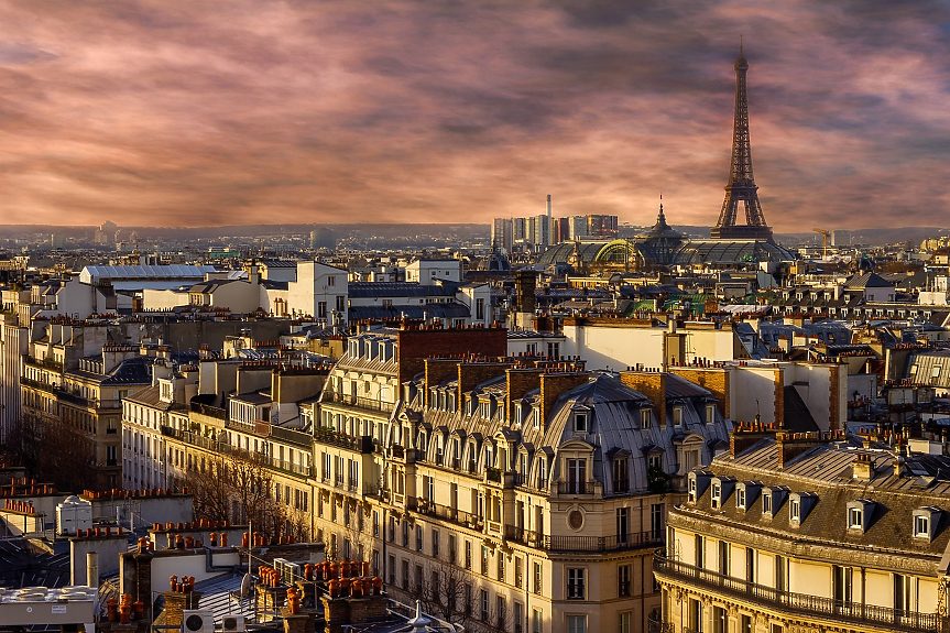 Париж пропищя от нашествие на дървеници