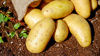 Как картофите промениха световната история?