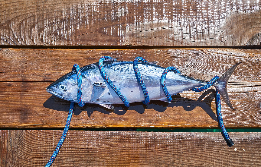 Може ли производството на батерии да застраши рибата тон?