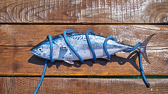 Може ли производството на батерии да застраши рибата тон?