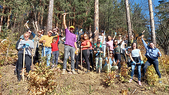 Екипът на АстраЗенека България засади 1 000 кв. м гора
