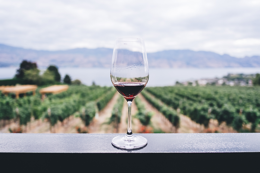 Световното производство на вино най-ниско за последните 60 г.