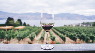 Световното производство на вино най-ниско за последните 60 г.