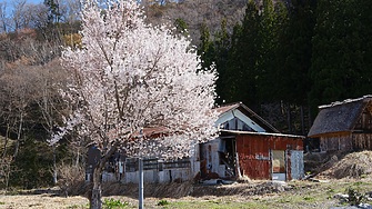 В Япония има 8 млн. изоставени къщи, които чужденци купуват евтино и реновират