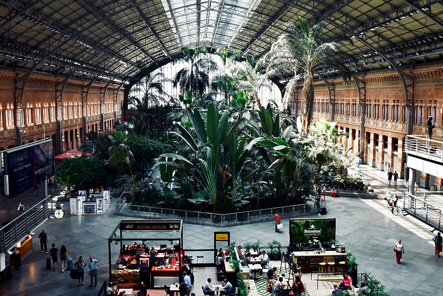 ЖП гарата Аточа е основният транспортен център на испанската столица Мадрид. Построена е през 1851 г., но пълното обновяване през 1992 г. я прави уникална. Основният коридор е премахнат, за да направи място на тропическа градина с буйна зеленина.