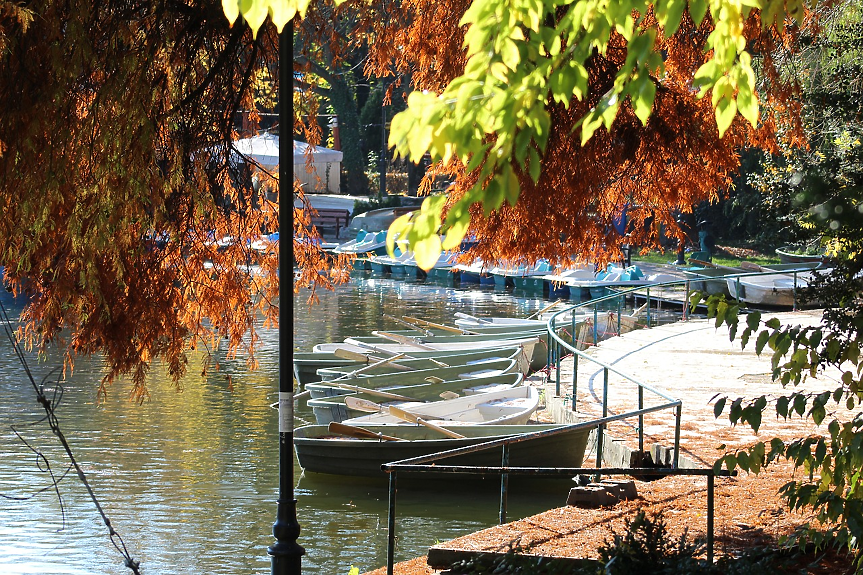 Cișmigiu Garden е красив зелен парк с изкуствено езеро и популярно място за почивка в центъра на Букурещ. Създаден е още през 1847 г., което го прави най-стария в града.