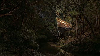 Курортът от къщи на дърво в сърцето на джунглата 