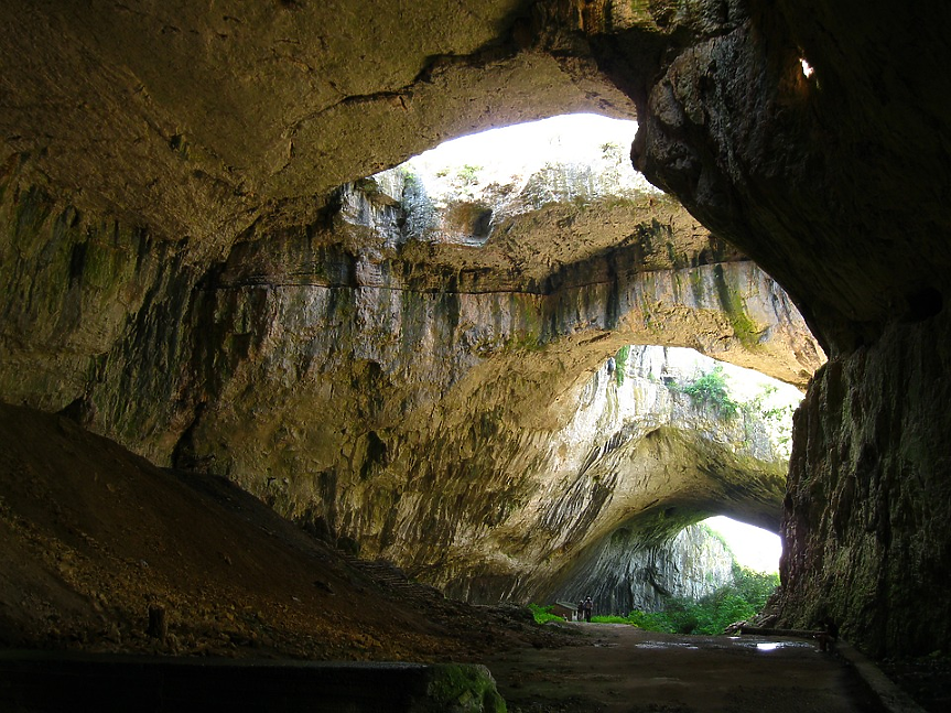Деветашката пещера е сред трите най-важни убежища за хибернация на прилепи в Европа. Там зимува колония от над 35 000 екземпляра от различни видове.