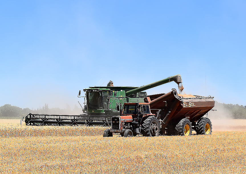 Глобалното търсене на пшеница надвишава производството с 4 млн. т