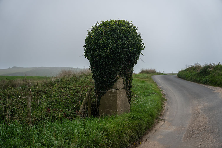 Getty Images