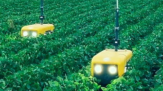 Роботи, убиващи плевели, заменят пестицидите?