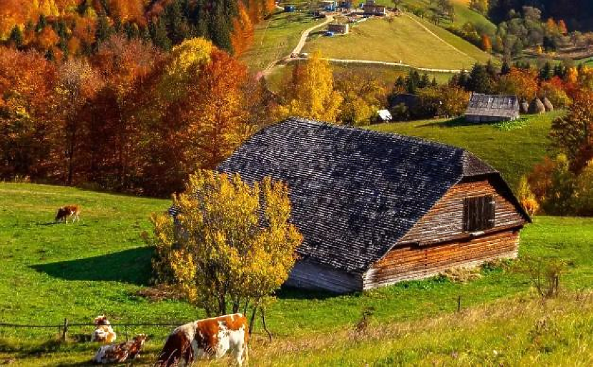 Пътуване във времето: Вековните къщи на румънското село Шимон