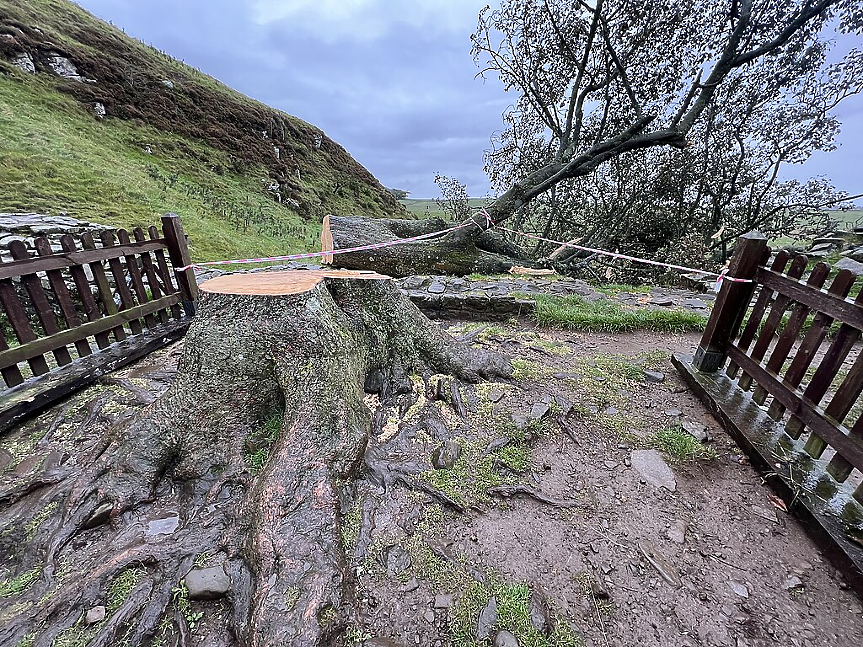 Sycamore Gap