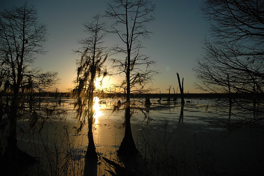 Румънско блато, приличащо на пейзаж от Властелинът на пръстените, привлича все повече туристи