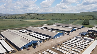 Румънска компания, която е най-големият производител на мляко в Европа, увеличава капацитета си