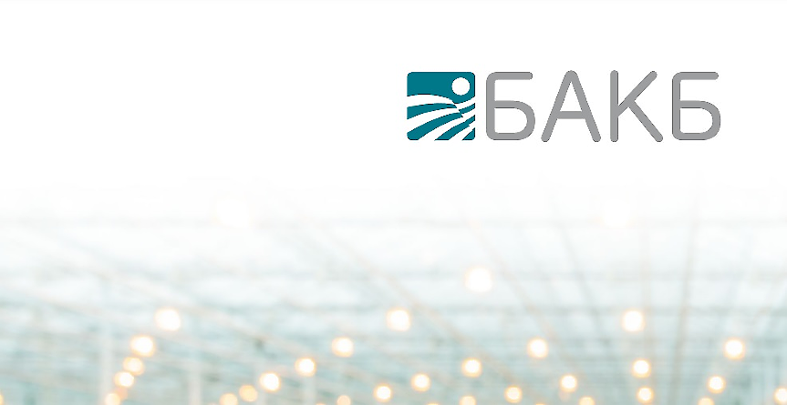В какви срокове БАКБ ще възстанови услугите си в рамките на прехода от лев към евро?
