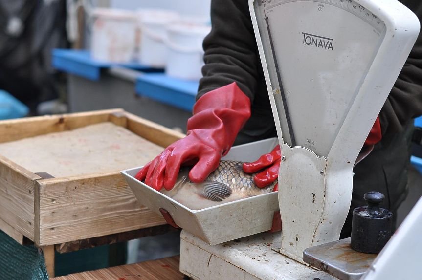 Колко струва шаранът преди Никулден?