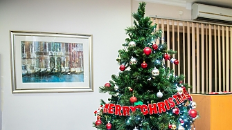 Българите отделят около 200 лв. за елха, ползват я 5-6 години