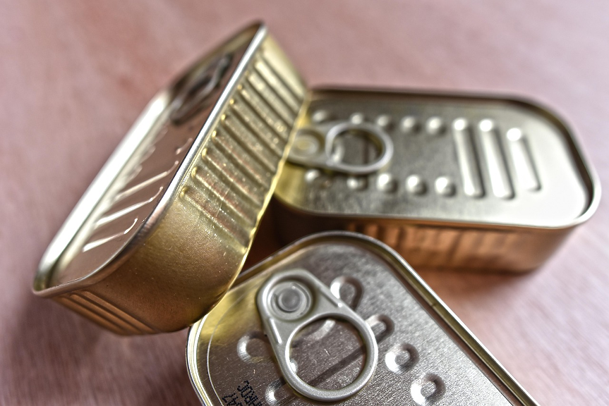 Фабрика за консерви от от африкански сом изграждат край Лом