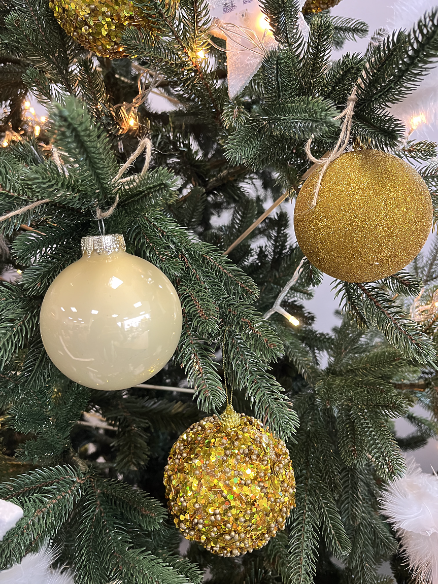 Елхи, произведени в Раковски от ГРИПС 