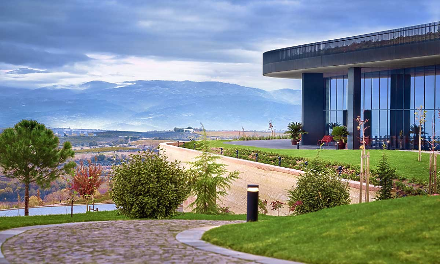 AYA Estate Vineyards