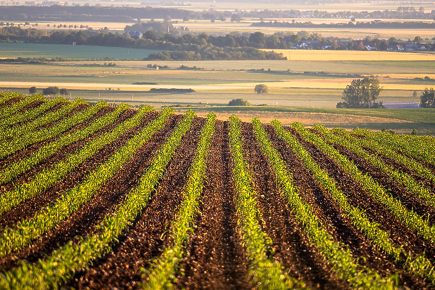 Нова възможност: €235 млн. за преработка на агропродукти