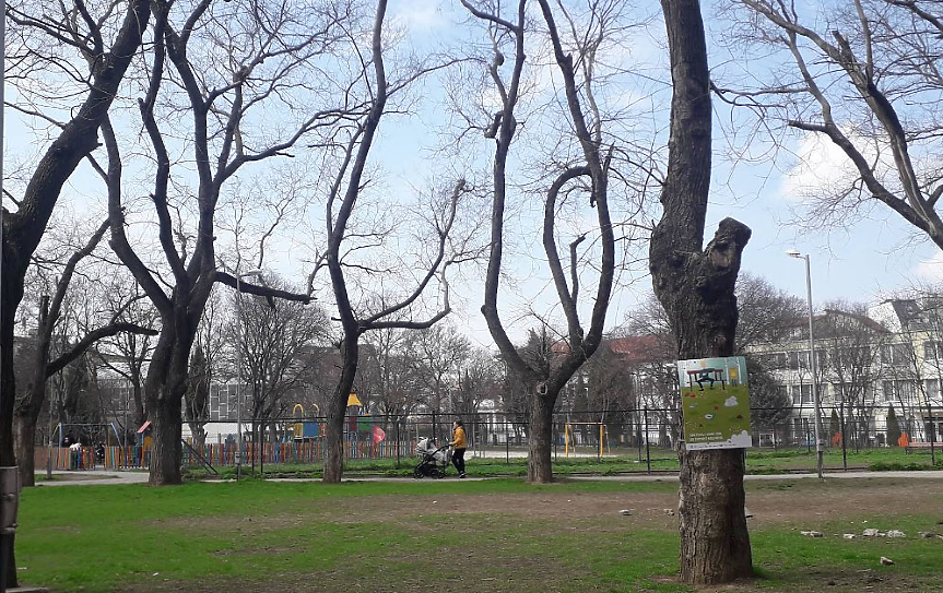 Парк "Елин Пелин"; ©Община Варна