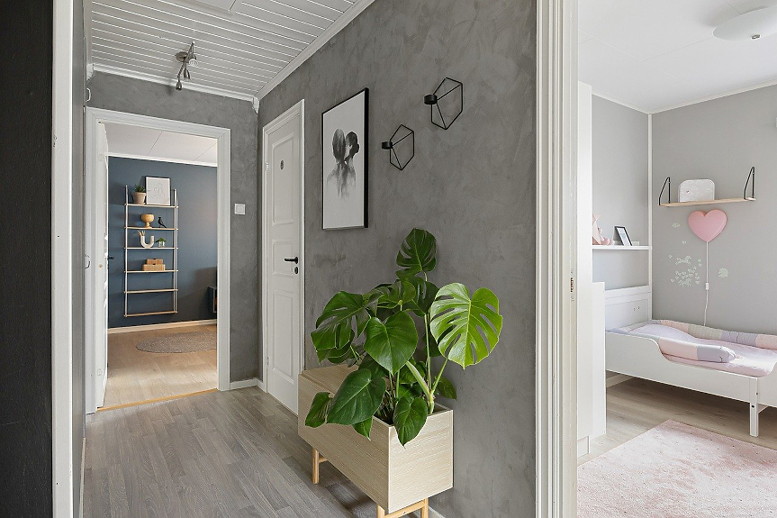 Най-честите грешки при използването на растения в интериора