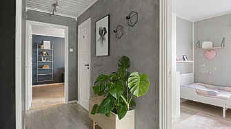 Най-честите грешки при използването на растения в интериора