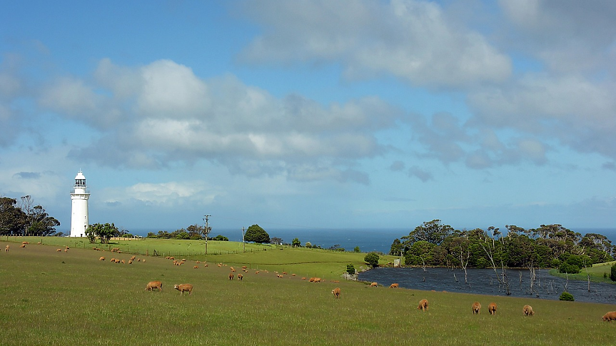 AI блог на туристическа компания праща туристи до несъществуваща дестинация