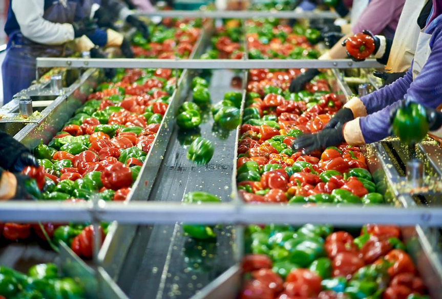 Пресните чушки поскъпнали с 58% за седмица, вносните цитруси поевтиняват значително