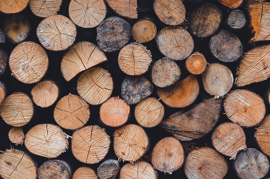 Как Швеция превърна горите си в зелено злато и какъв е урокът за България?