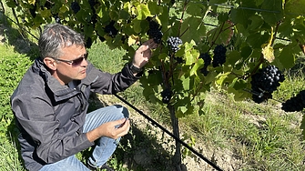 Първата българска винарна, която произвежда и бутилира на друг континент