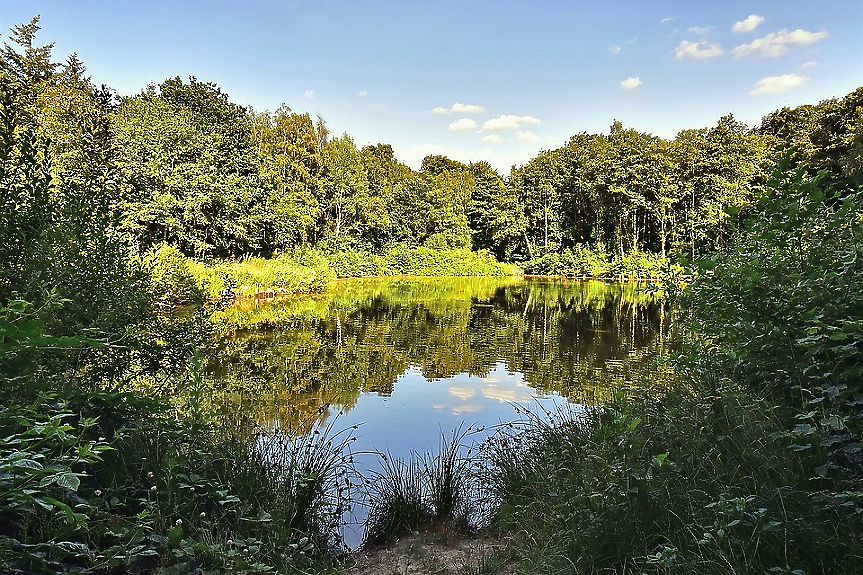 Нов парк от 200 дка със зала и автокино изграждат в Сливен