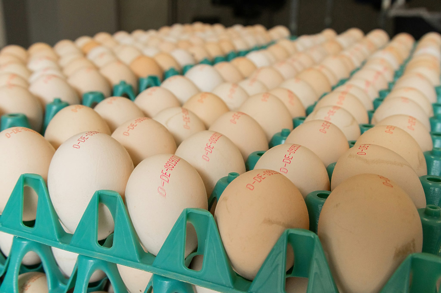 Какво означава кодът от цифри и букви върху яйцата?