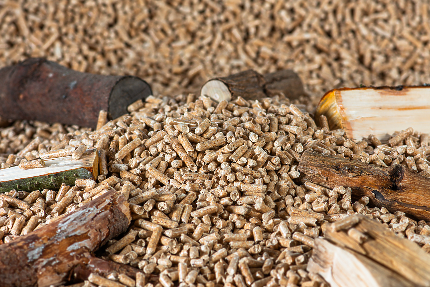Експерт: Добавяне на 10 млн. тона пелети ще укрепи енергийната сигурност в ЕС 