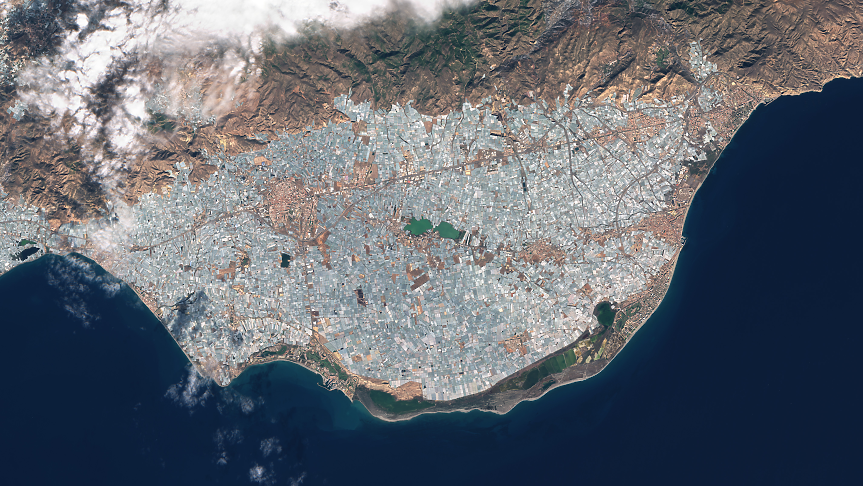 Зеленчукова градина в Испания, Андалусия / Getty Images 