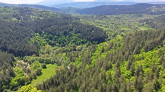 За 60 години: Горите у нас нараснали с 23%