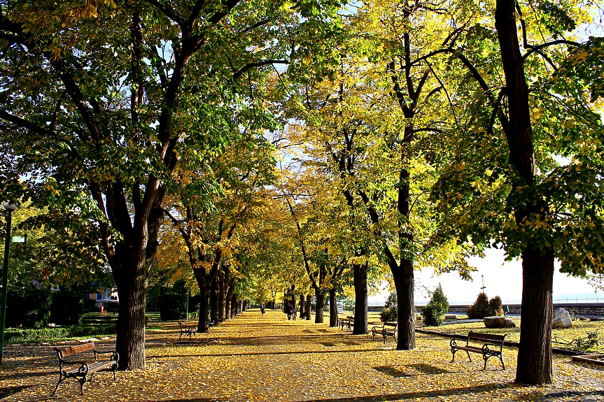 Видин инвестира €387 000 в нова велоалея и зони за отдих край Дунав