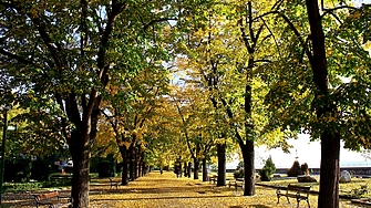 Видин инвестира €387 000 в нова велоалея и зони за отдих край Дунав