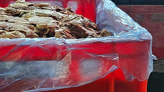 БАБХ затвори кланица край Пловдив; върна 1.3 млн. яйца в Турция