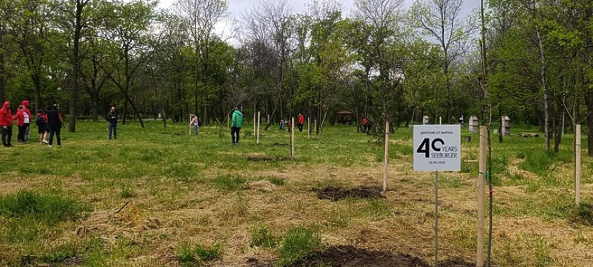 40 полски ясена бяха засадени в парк "Лаута"; ©Община Пловдив