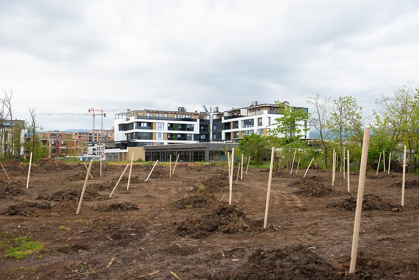 Нови залесителни акции в Пловдив: Засадиха чинари на Гребната база и ясени в парк Лаута
