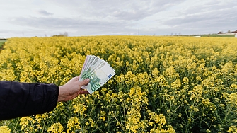 Монголия отчита ръст в износа на растителна продукция, 86% от него е за Китай