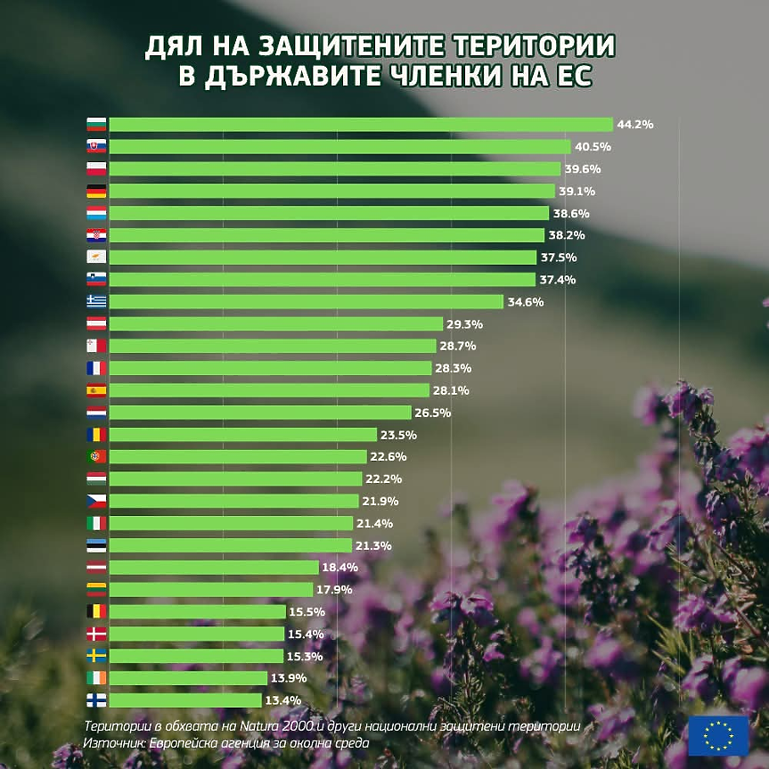 дърва, гора, дървета, дървесина / БКДМП 