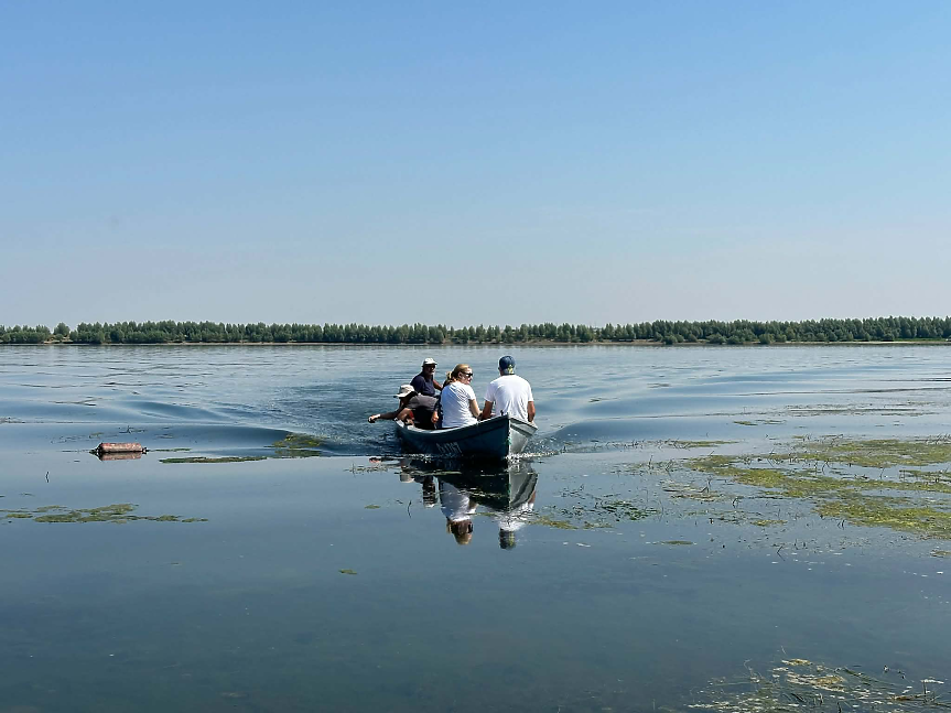 Зарибяване на река Дунав с руски есетри; ©WWF България